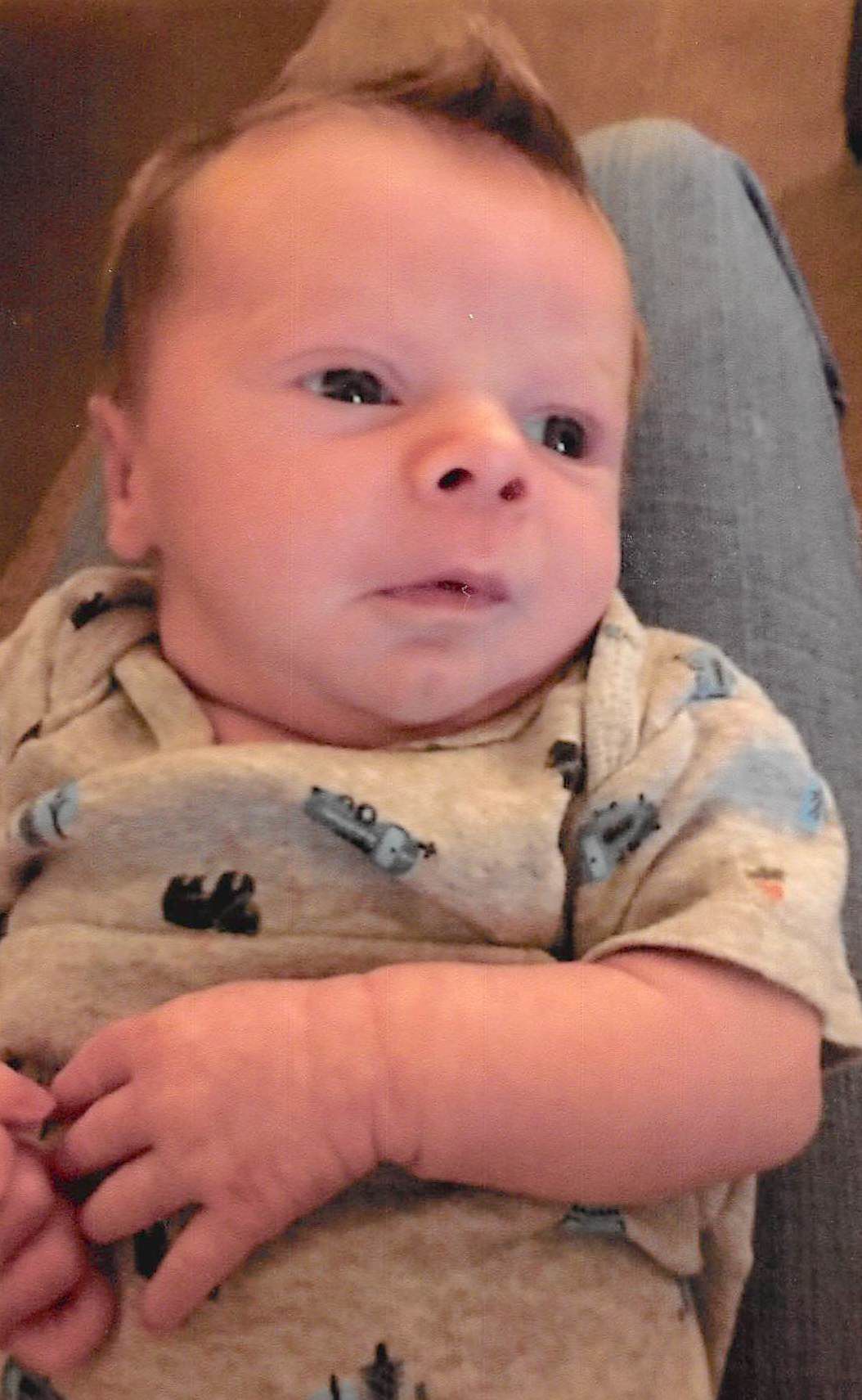 Dayton Sauer Cotten